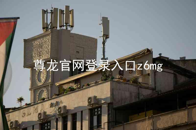尊龙官网登录入口z6mg