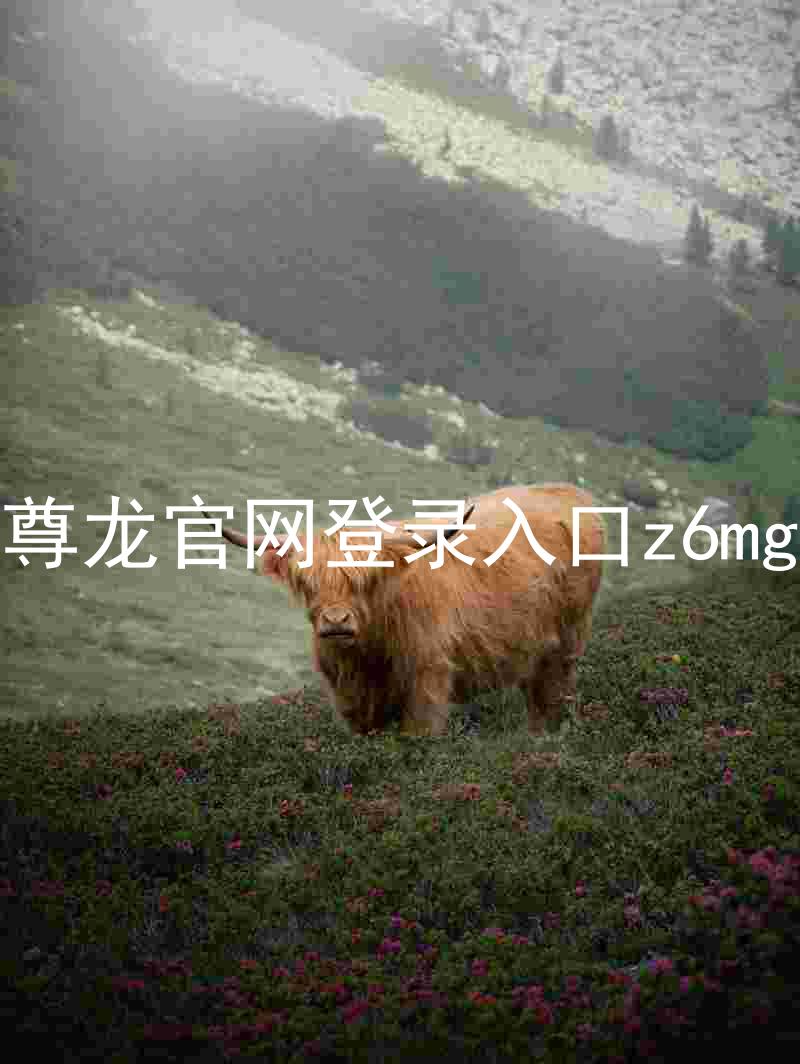 尊龙官网登录入口z6mg